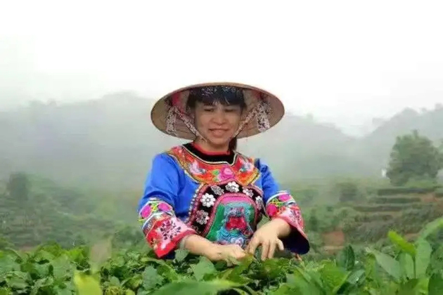 【梧州工匠】劉錦芳：鉆研和創(chuàng)新，帶領(lǐng)鄉(xiāng)親發(fā)家致富