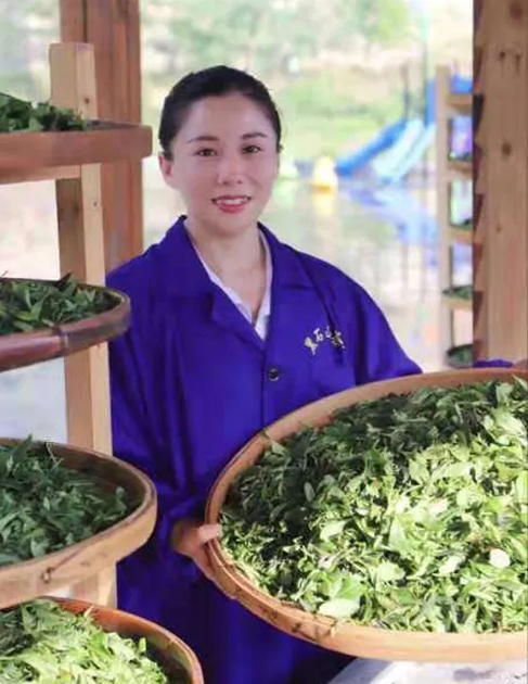 【梧州工匠】石濡菲：擇一茶，修一技，終一生