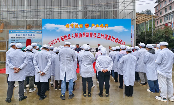 2025年蒼梧縣六堡油茶制作技藝培訓(xùn)及比賽活動圓滿落幕！